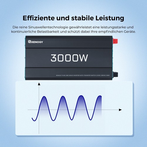 Renogy 3000w 6000w - 3000w/6000w, 12v